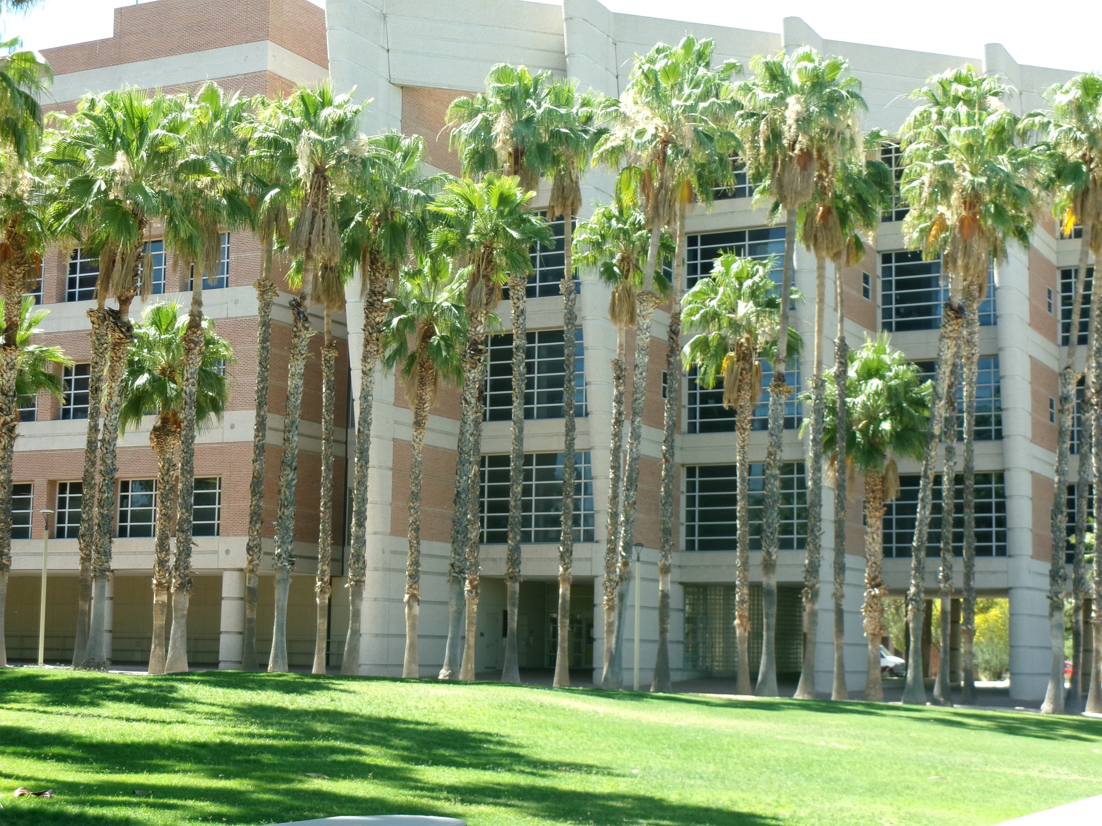 Palm trees and architecture photographed by Yokutjon Tohirova