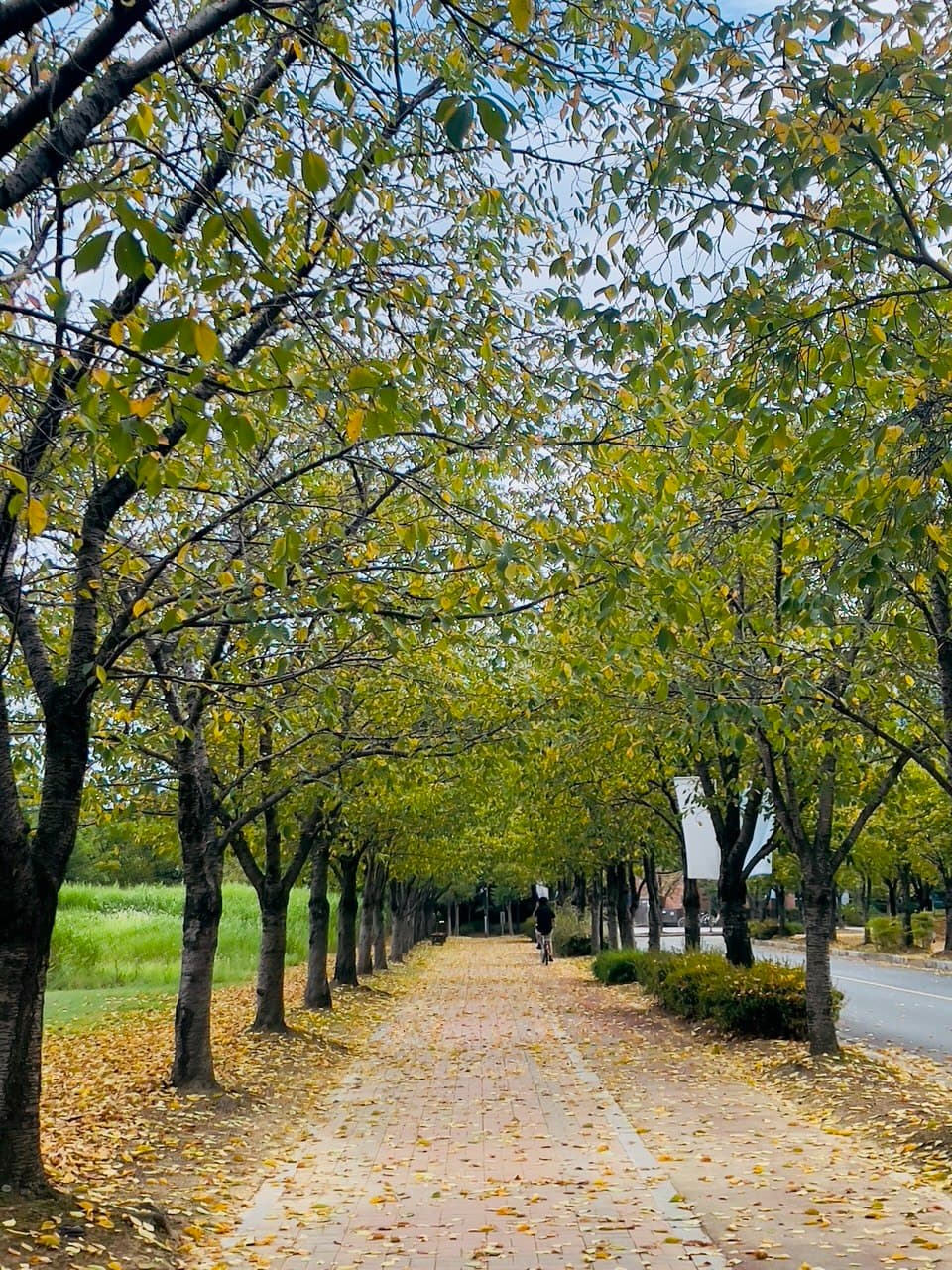 Photograph 26 by Yokutjon Tohirova