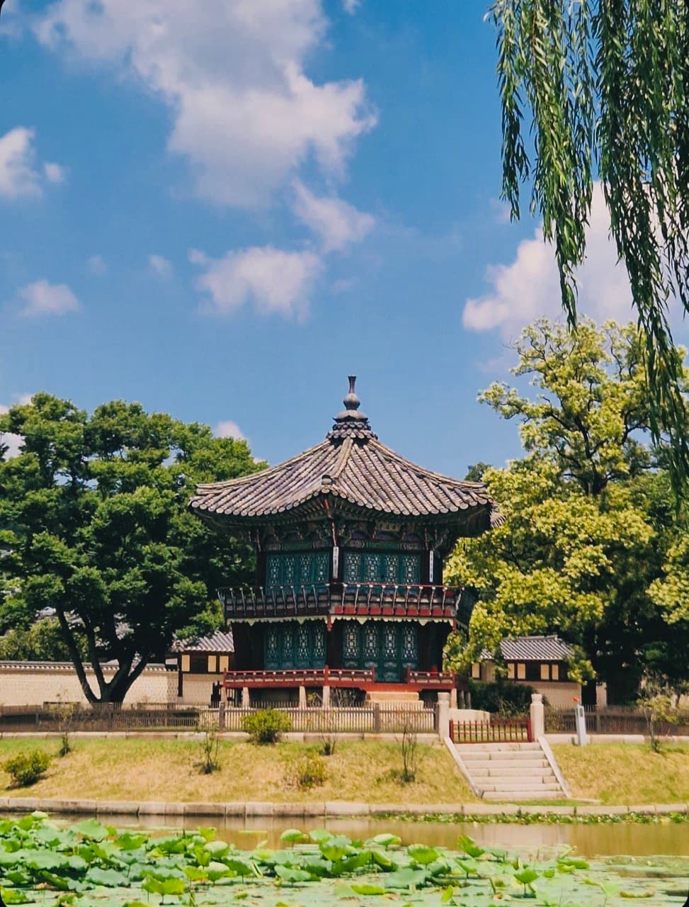 Photograph 27 by Yokutjon Tohirova