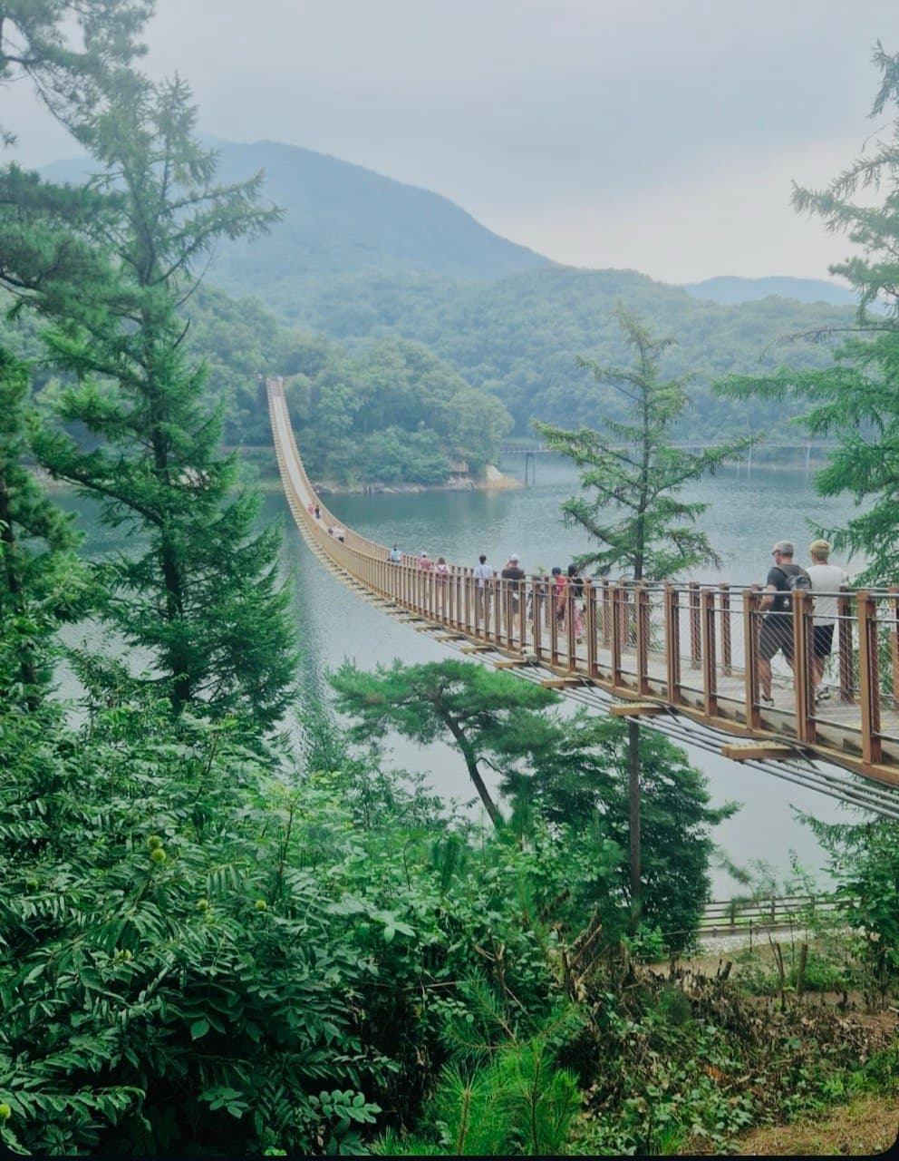 Photograph 29 by Yokutjon Tohirova
